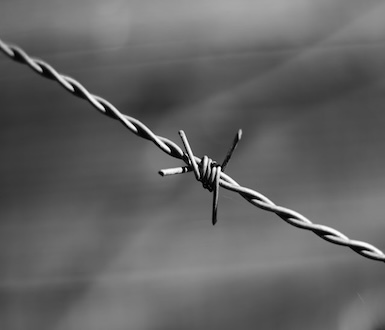 barbed wire